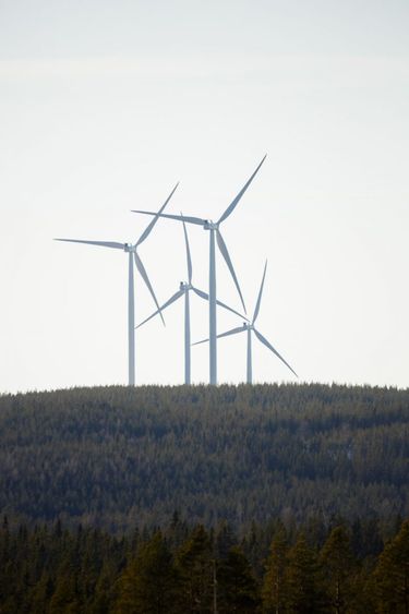 Mässingbergeti tuulepark, 22 MW, Rootsi (foto: Joakim Lagercrantz)