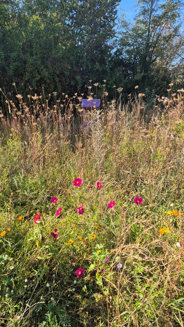 OX2’s Wysoka Ecopark – One year later