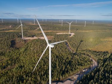 Lehtirova tuulepark, 147 MW, Rootsi (foto: Joakim Lagercrantz)