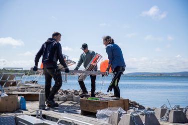 Exploring synergies in Björkskär