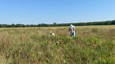 Biodiversity and carbon sequestration